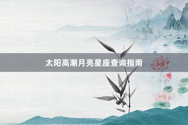 太阳高潮月亮星座查询指南