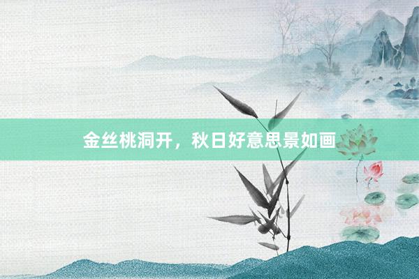 金丝桃洞开,秋日好意思景如画